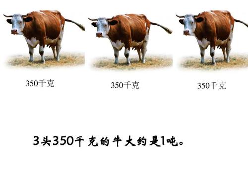 一头牛重量是多少千克 克,千克,斤,公斤,吨之间的关系