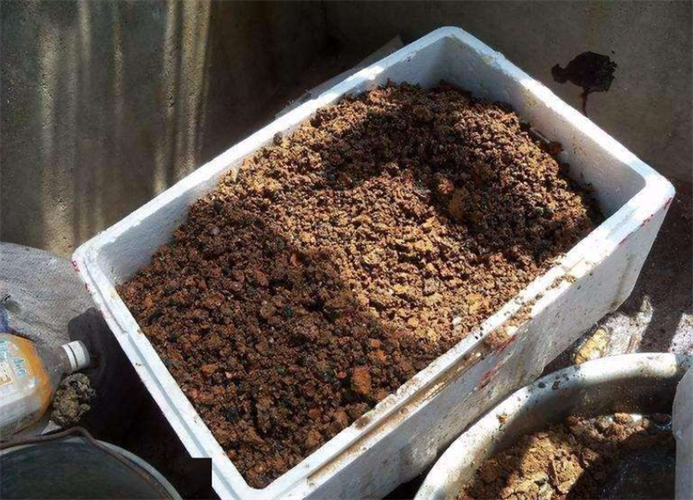 泥炭土是什么土 泥炭土的自制方法